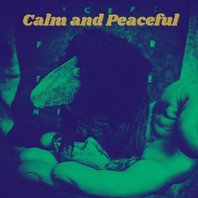 calm, peaceful playlist - Crowande
